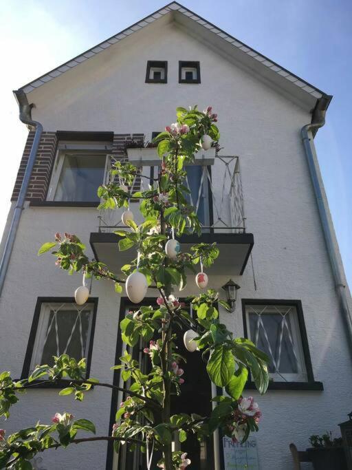 Schoenes Haus Mit Grossem Garten Зелингенщад Екстериор снимка